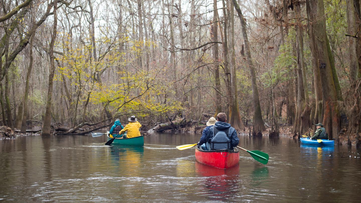 canoeing-on-the-river-1-1024x576 Congaree National Park: Is it Worth the Visit?