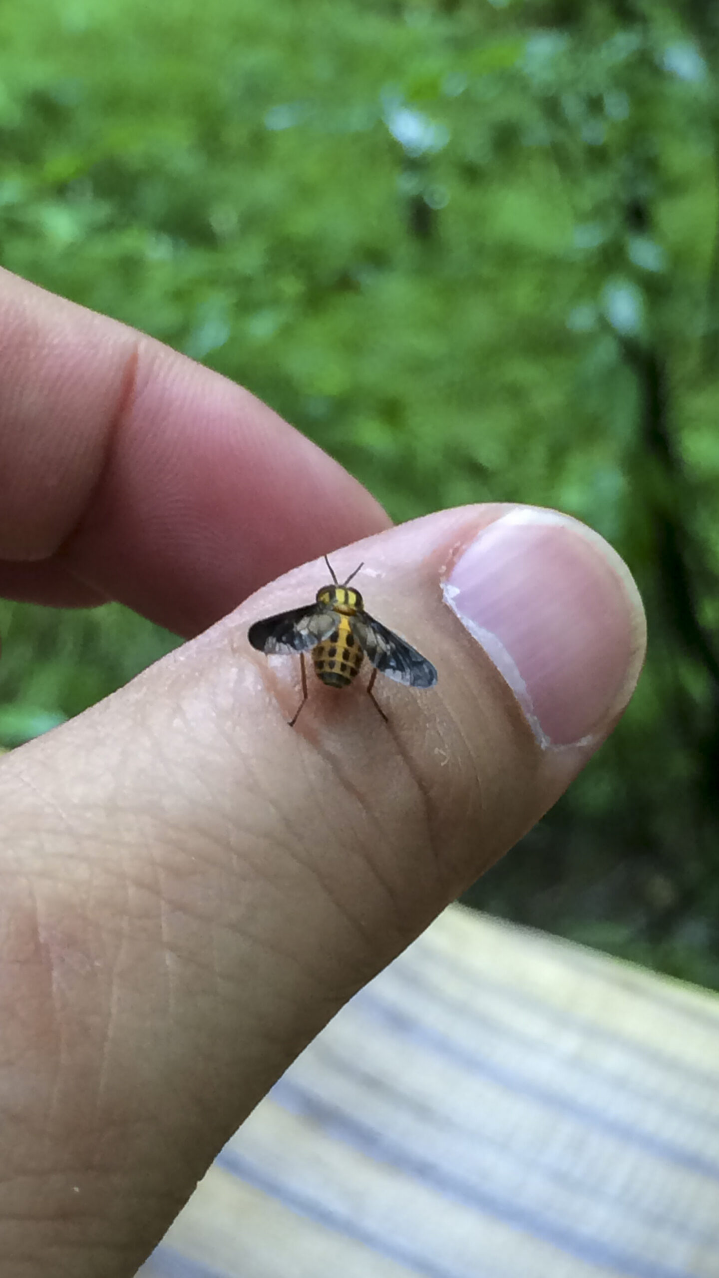 Congaree-45-scaled Congaree National Park: Is it Worth the Visit?