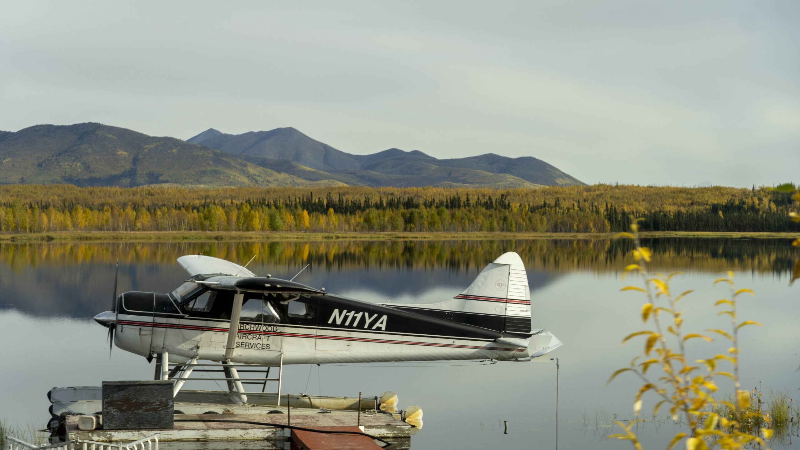 SSO05020-scaled Guide to Gates of the Arctic National Park - Solitude in the Wild