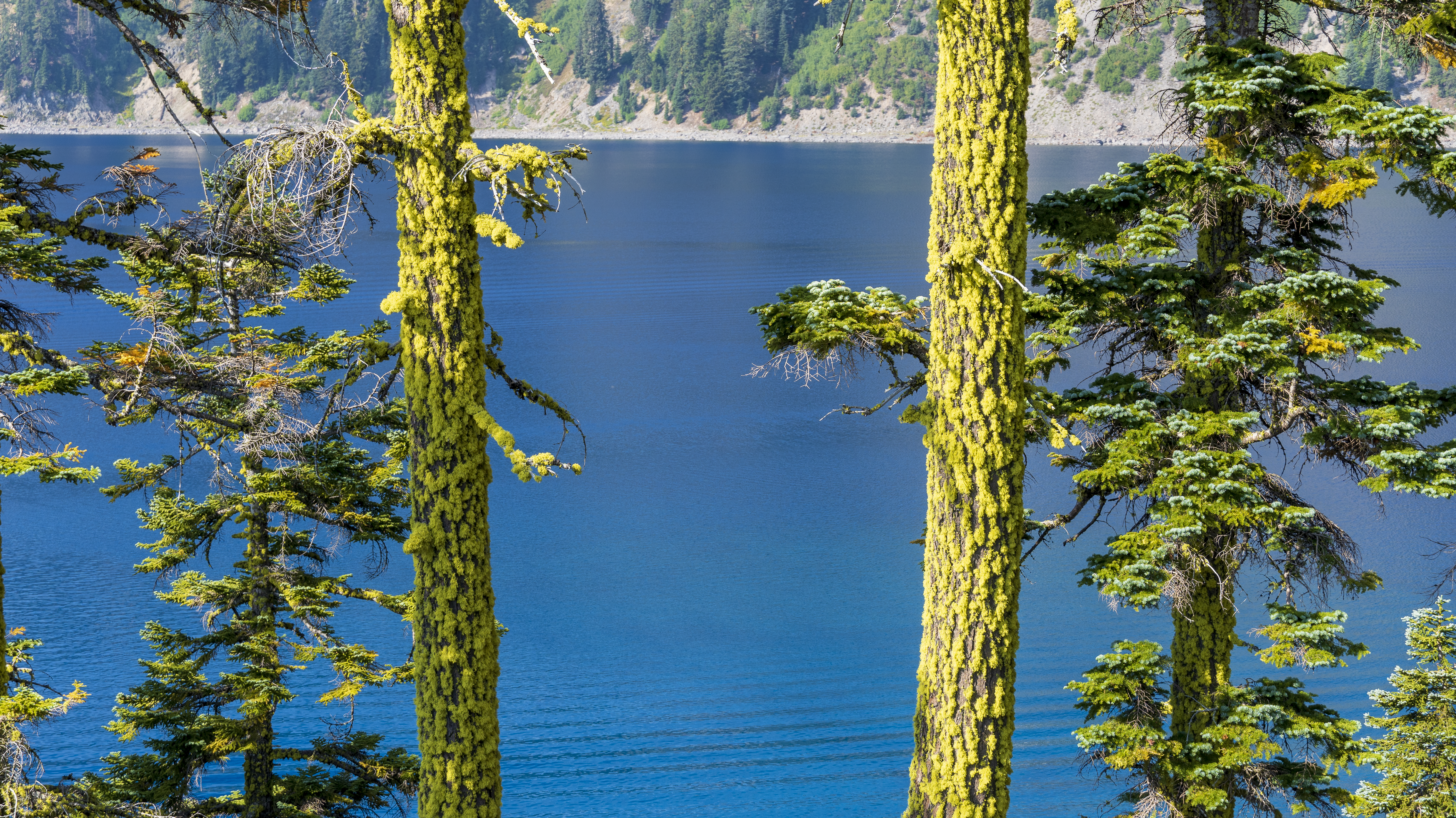 Crater-Lake-104 Nature's Masterpiece: Crater Lake's Colors Will Make You Question Reality